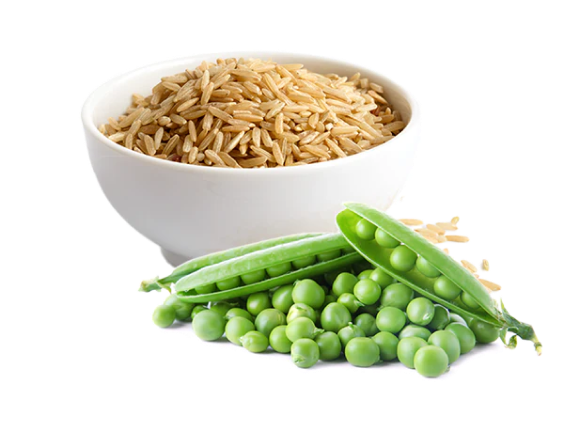 Pea and brown rice protein